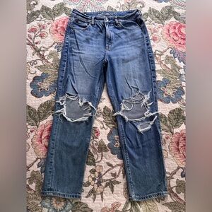 American Eagle Distressed Strigid Mom Jeans